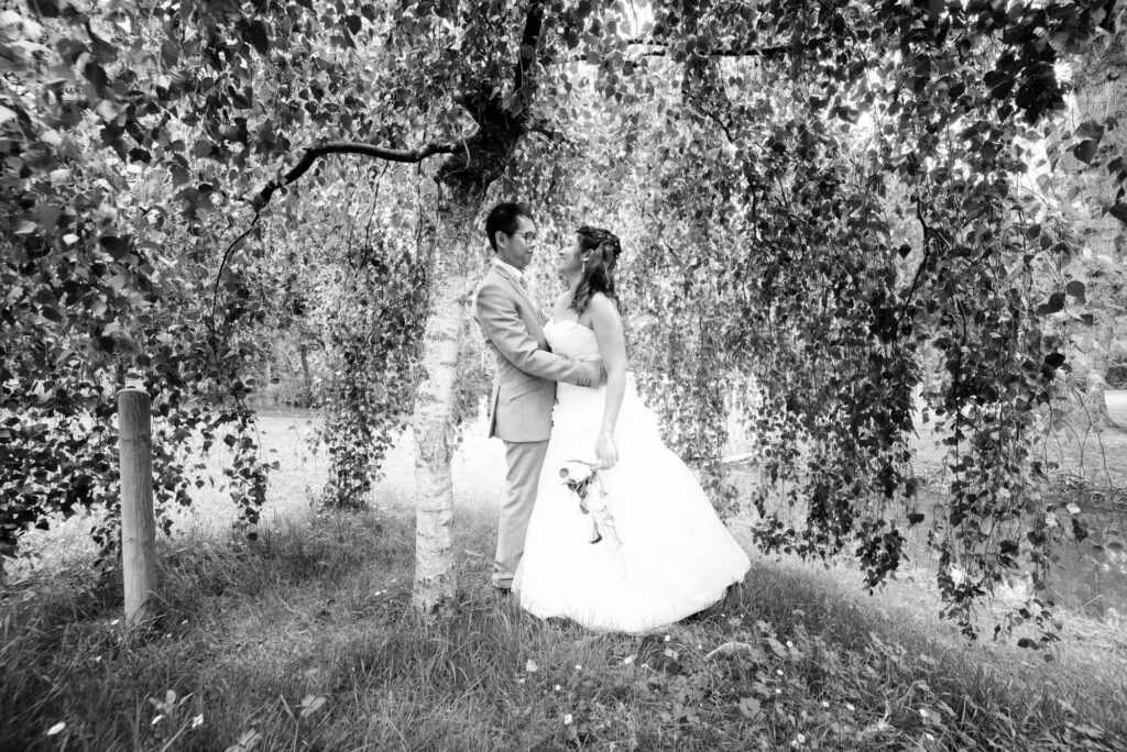 Mariés noir et blanc sous un saule pleureur